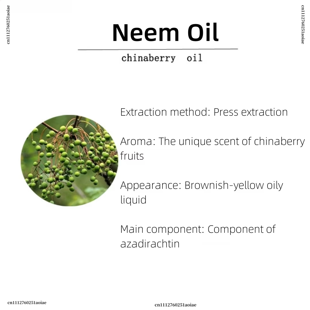 Organisches Neemöl - Spirituel – Home Fragrance Incense Bewertung und Preis