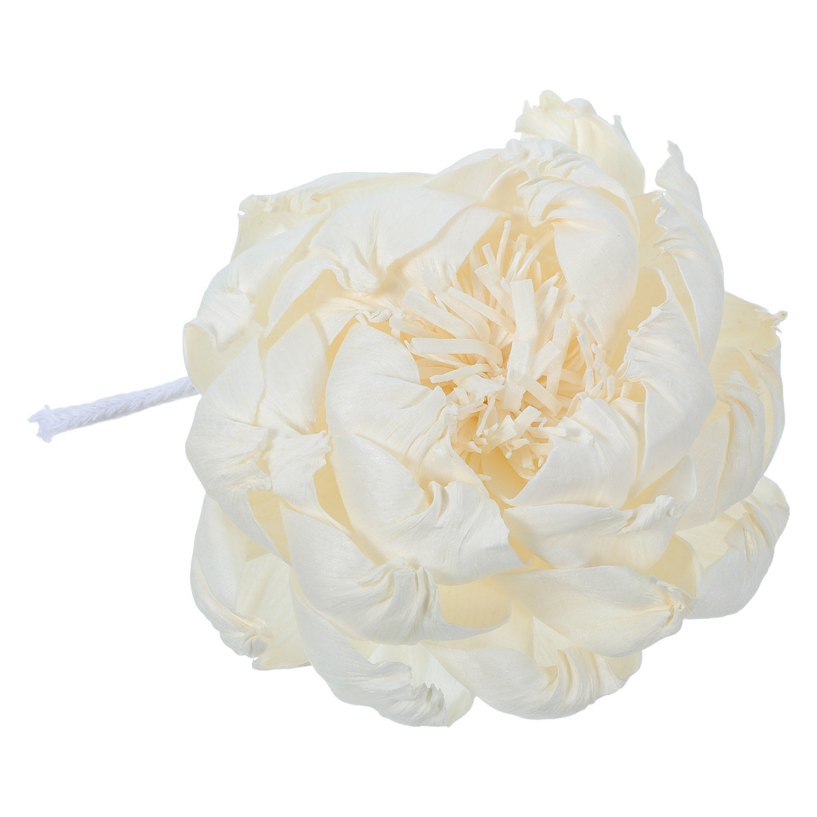 Pfingstrosenkopf-Duftdiffusor  – Home Fragrances Bewertung und Preis