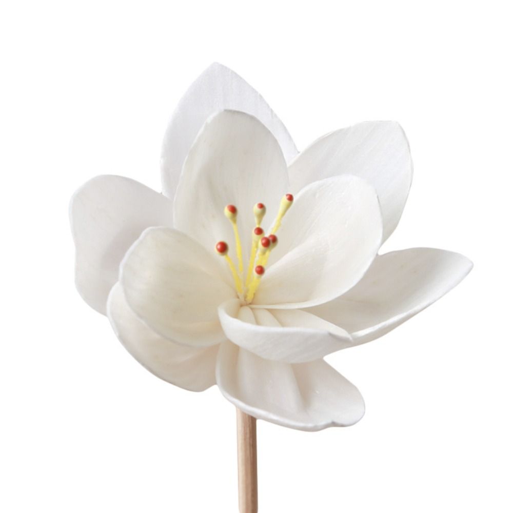 5 cm kreative handgemachte Duf – Home Fragrance Incense Bewertung und Preis