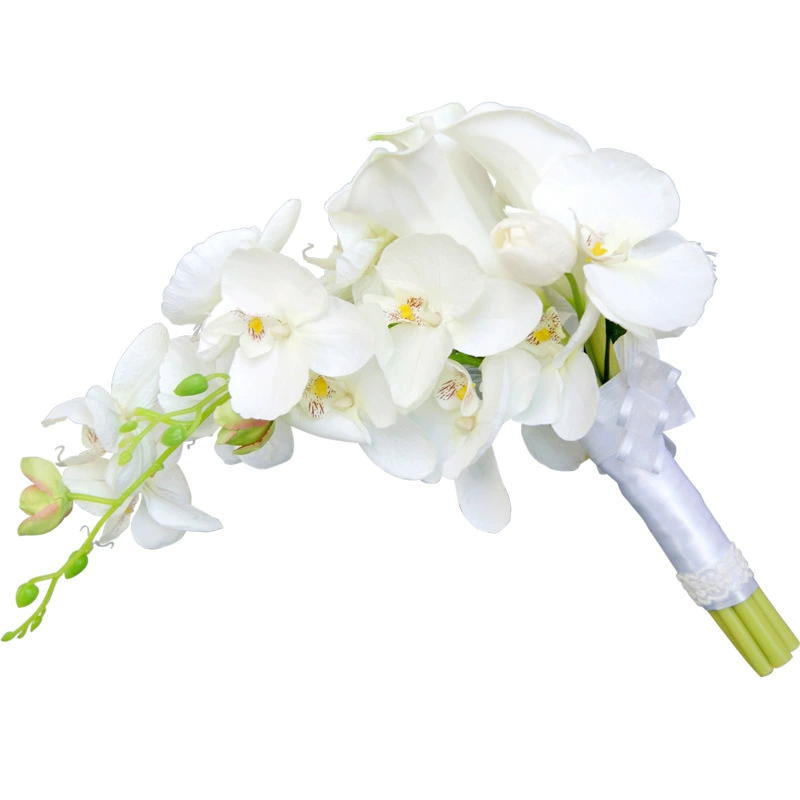 Französische romantische Hochz – Home Fragrance In French Bewertung und Preis