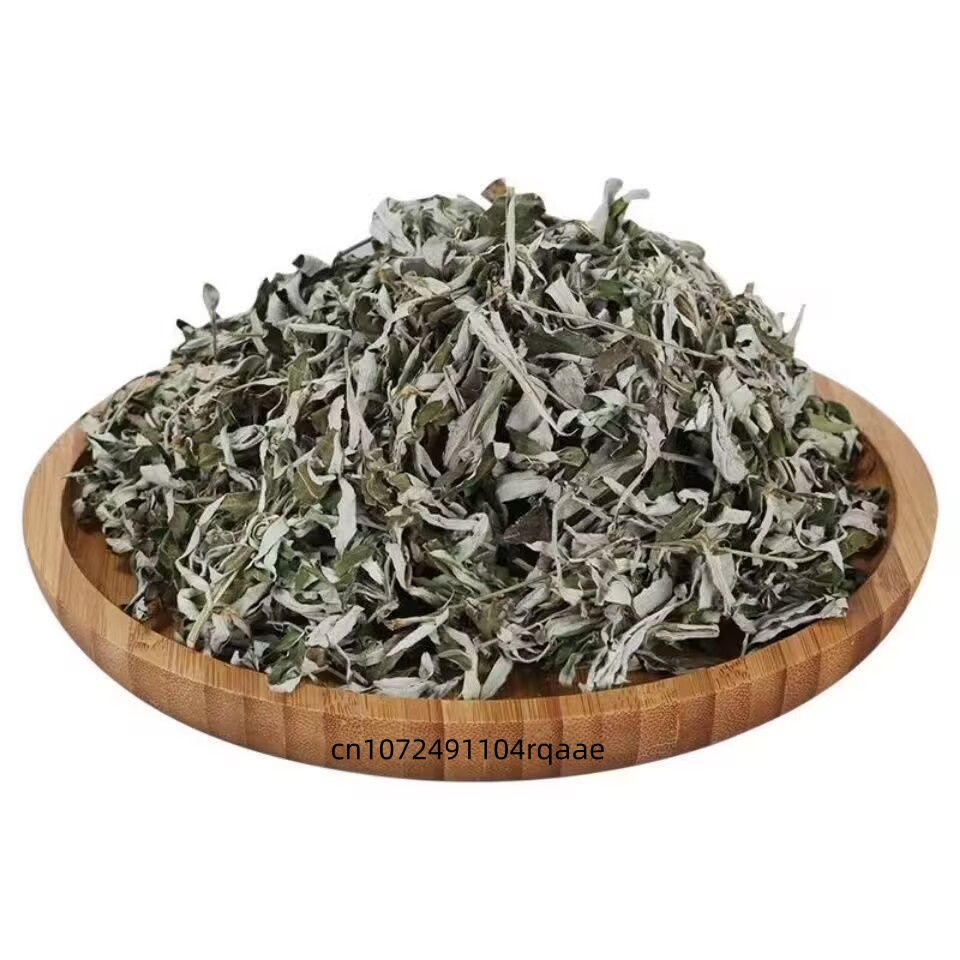 Bio-getrocknete Artemisia Argy – Home Fragrance Long Lasting Bewertung und Preis