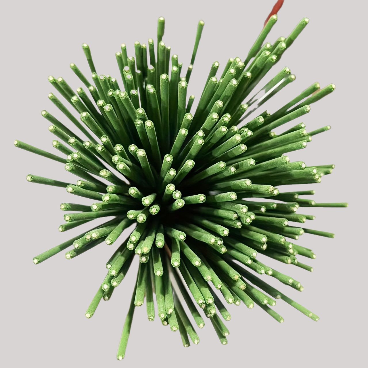Reed Diffuser Sticks Zitroneng – Home Fragrance Collection Bewertung und Preis