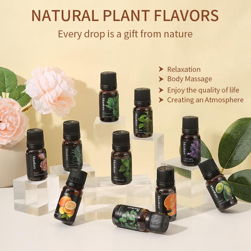 10ml Natürliches Pflanzen-Äthe – Home Fragrance Aroma Set Bewertung und Preis