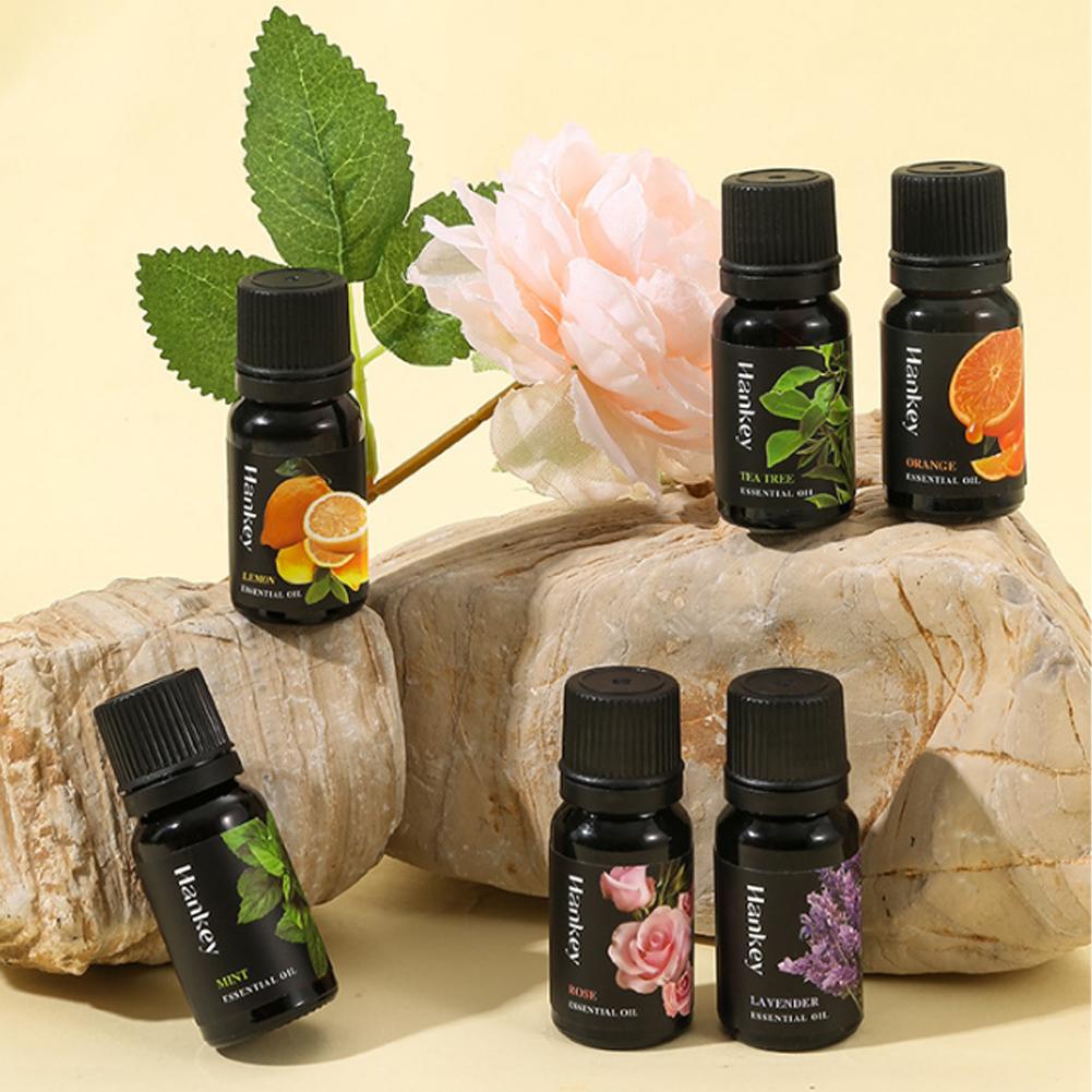 10ml Natürliches Pflanzen-Äthe – Home Fragrance Aroma Set Bewertung und Preis