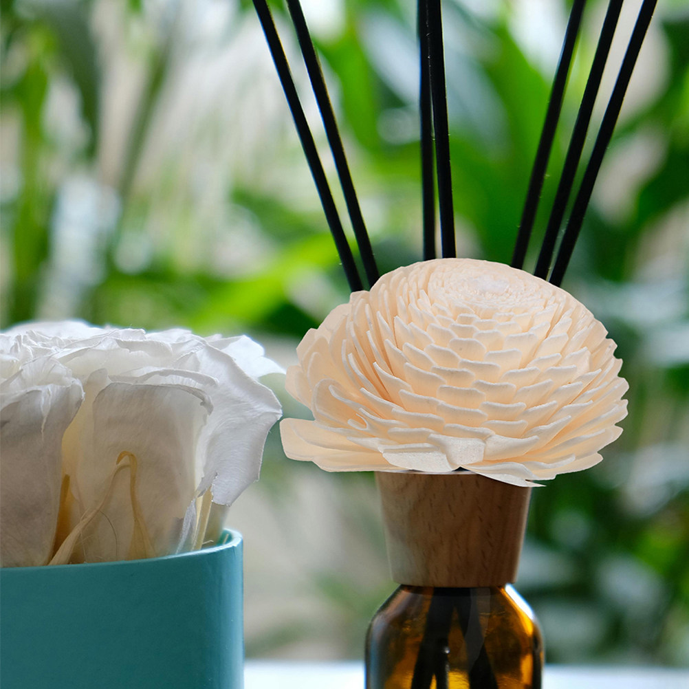 2 Stück Duftöl-Diffusorköpfe,  – Home Fragrances Bewertung und Preis