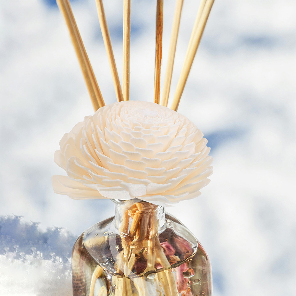 2 Stück Duftöl-Diffusorköpfe,  – Home Fragrances Bewertung und Preis