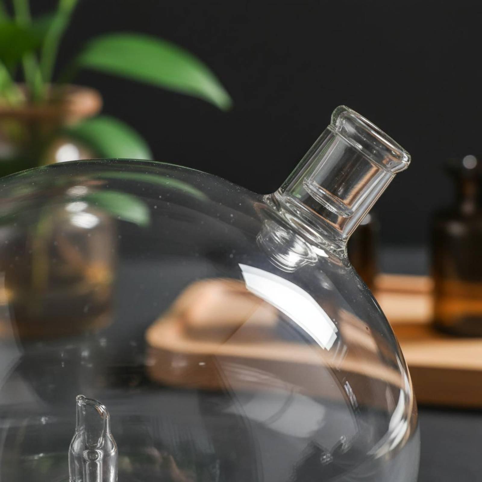 Diffusorflasche Universell Pas – Home Fragrance Usa Bewertung und Preis