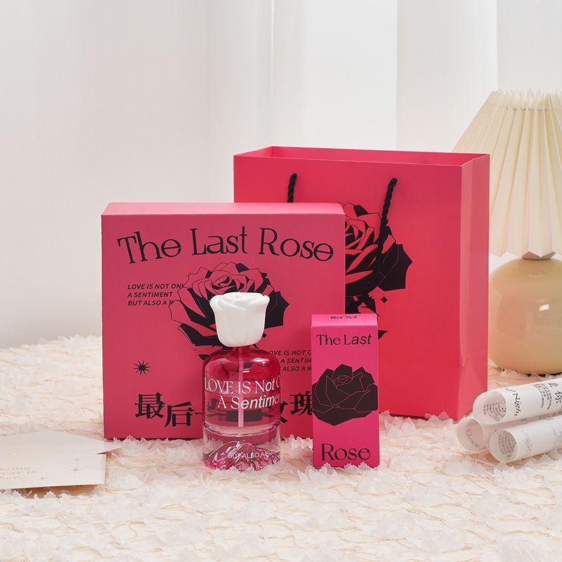 Premium Reed Diffusor Öle Gesc – Home Fragrance Set Gift Bewertung und Preis