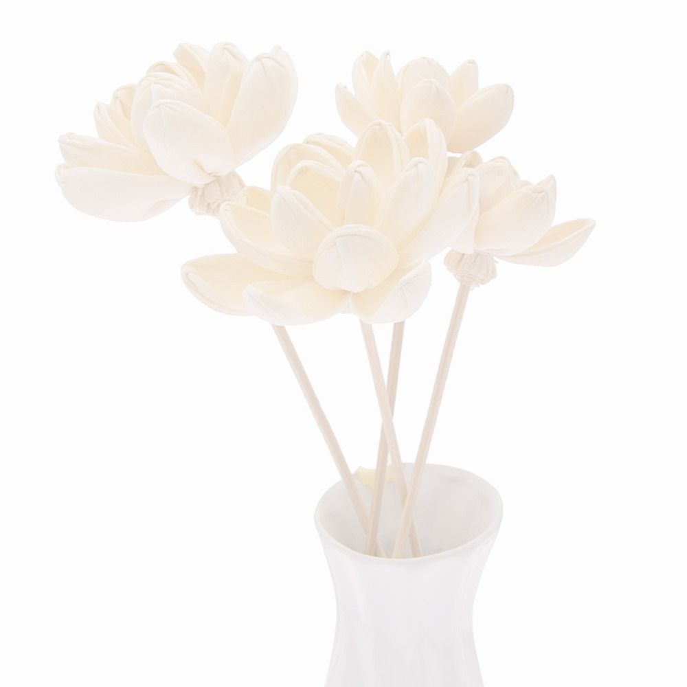 Duftende Blumen für Zuhause, h – Home Fragrance Incense Bewertung und Preis
