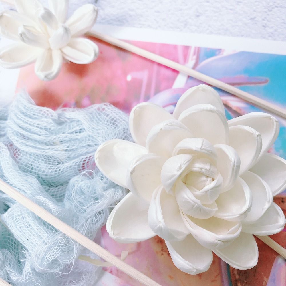 Duftende Blumen für Zuhause, h – Home Fragrance Incense Bewertung und Preis